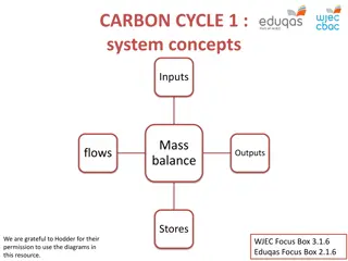 The Carbon Cycle: System Concepts and Pathways