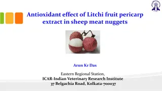 Utilizing Litchi Fruit Pericarp Extract as a Natural Antioxidant in Meat Products