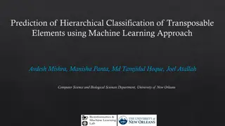 Machine Learning Approach for Hierarchical Classification of Transposable Elements