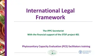 International Legal Frameworks in Phytosanitary Regulations