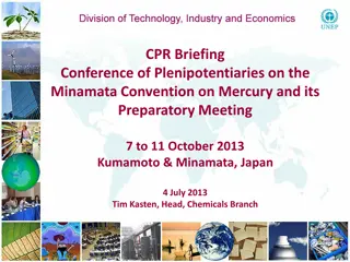 Progress and Agreements on Minamata Convention on Mercury