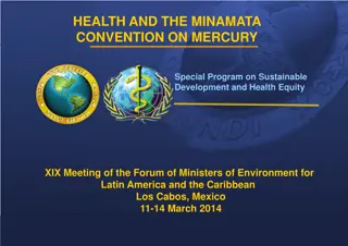 Promoting Health and Sustainability: The Minamata Convention on Mercury