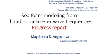 Reference Quality Model for Ocean Surface Emissivity and Backscatter