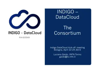 Overview of the INDIGO-DataCloud Consortium