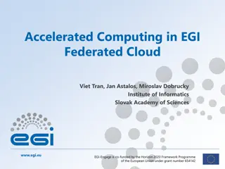 Accelerated Computing in EGI Federated Cloud