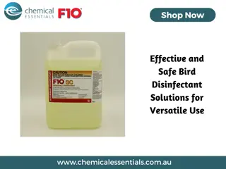 Effective and Safe Bird Disinfectant Solutions for Versatile Use