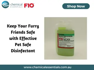 Keep Your Furry Friends Safe with Effective Pet Safe Disinfectant