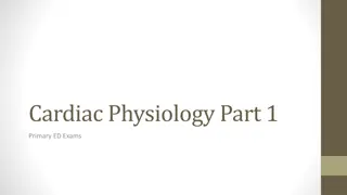 Cardiac Physiology: Electrical System and Excitation