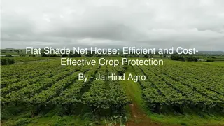 Flat Shade Net House: Efficient and Cost-Effective Crop Protection