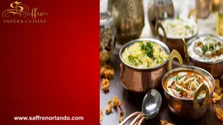 Best Indian Food  Orlando