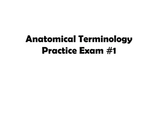 Anatomical Terminology Practice Exam: Body Regions and Landmarks