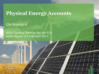 Physical Energy Accounts and SEEA for Economic Analysis