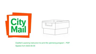 Optimizing Print File Packing Instructions for CityMail Program