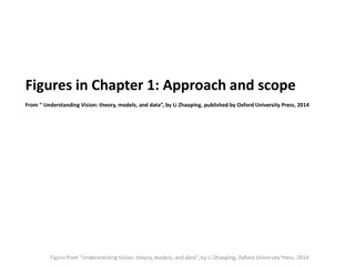 Figures in Chapter 1: Understanding Vision Theory