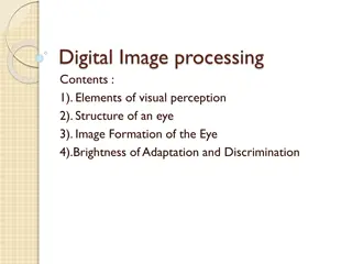 Digital Image Processing Fundamentals