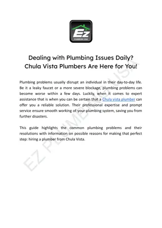 Dealing with Plumbing Issues Daily_ Chula Vista Plumbers Are Here for You!