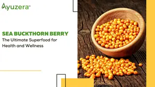 Sea Buckthorn Berry: The Ultimate Superfood for Health and Wellness