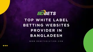 Top White Label Betting Websites Provider