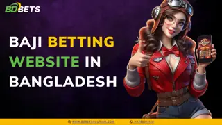 Baji Betting Website in Bangladesh