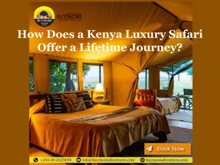 How Does a Kenya Luxury Safari Offer a Lifetime Journey