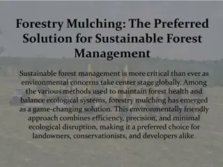 Forestry Mulching- The Preferred Solution for Sustainable Forest Management