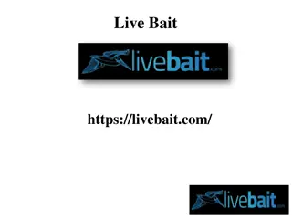 Best 8 Foot Cast Fishing Net, livebait.com