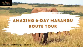 Amazing 6-Day Marangu Route Tour