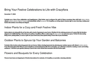 Bring festive celebration with crazyflora