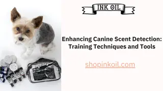 Enhancing Canine Scent Detection Training Techniques and Tools