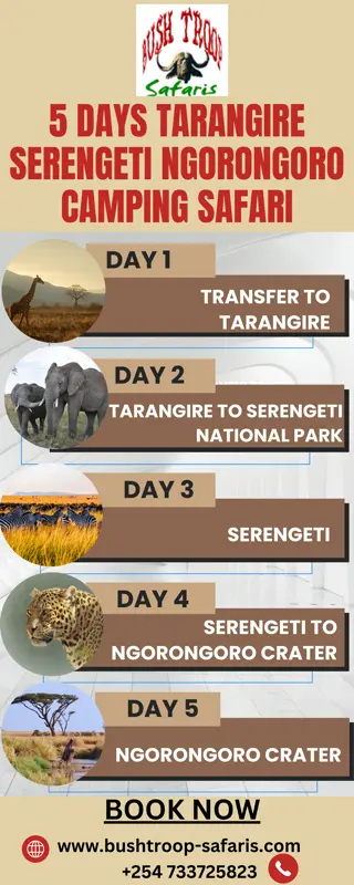 5 Days Tarangire Serengeti Ngorongoro Camping Safari