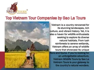 Top Vietnam Tour Companies by Sao La Tours