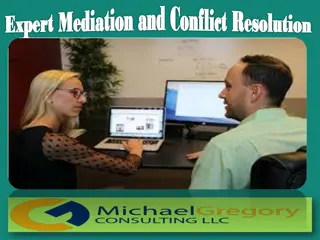 Expert Mediation and Conflict Resolution