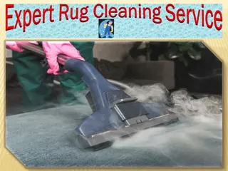 Expert Rug Cleaning Service