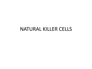 Natural Killer Cells and Their Functions