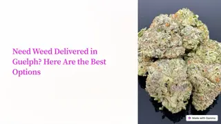 Weed Delivery Service Guelph | Dank Hub