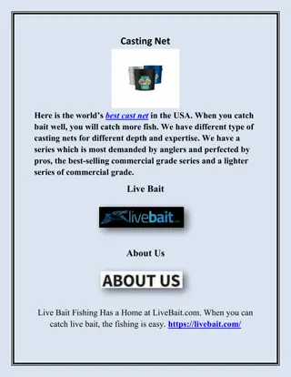 Casting Net, livebait.com