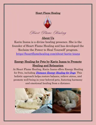 Energy Healing for Pets by Karin Inana to Promote Healing and Relaxation