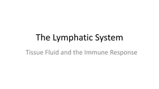 Understanding the Lymphatic System and Immune Response