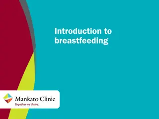 Essential Guide to Breastfeeding for New Mothers