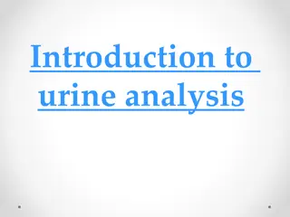 Introduction to  urine analysis