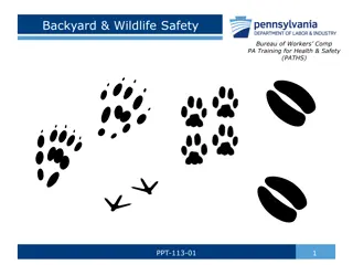 Backyard & Wildlife Safety