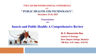 Insects and Public Health: A Comprehensive Review