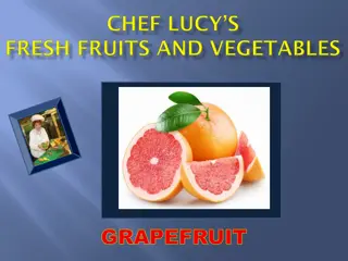 Fascinating Facts About Grapefruits