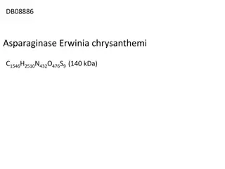 Asparaginase Erwinia chrysanthemi