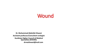 Wound Classification and Healing Stages