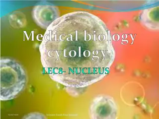 the Cell Nucleus: Structure, Function, and Ultrastructure