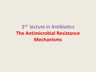 Antibiotics and Antimicrobial Resistance Mechanisms