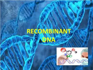 RECOMBINANT