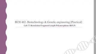 BCH 462- Biotechnology & Genetic engineering [Practical]