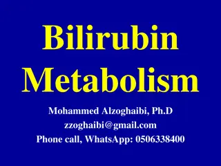 Bilirubin Metabolism and Porphyrin Metabolism Overview